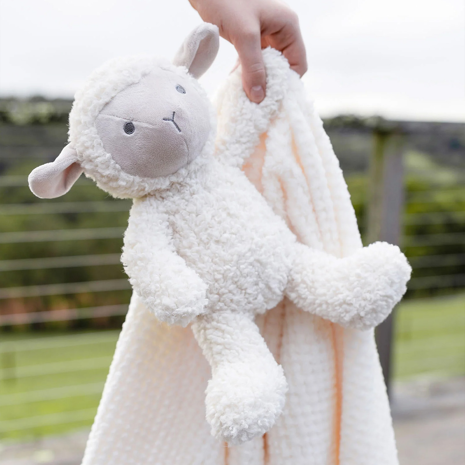Soft textured lamb plushie and matching nursery blanket for premium ODM projects and private label brands